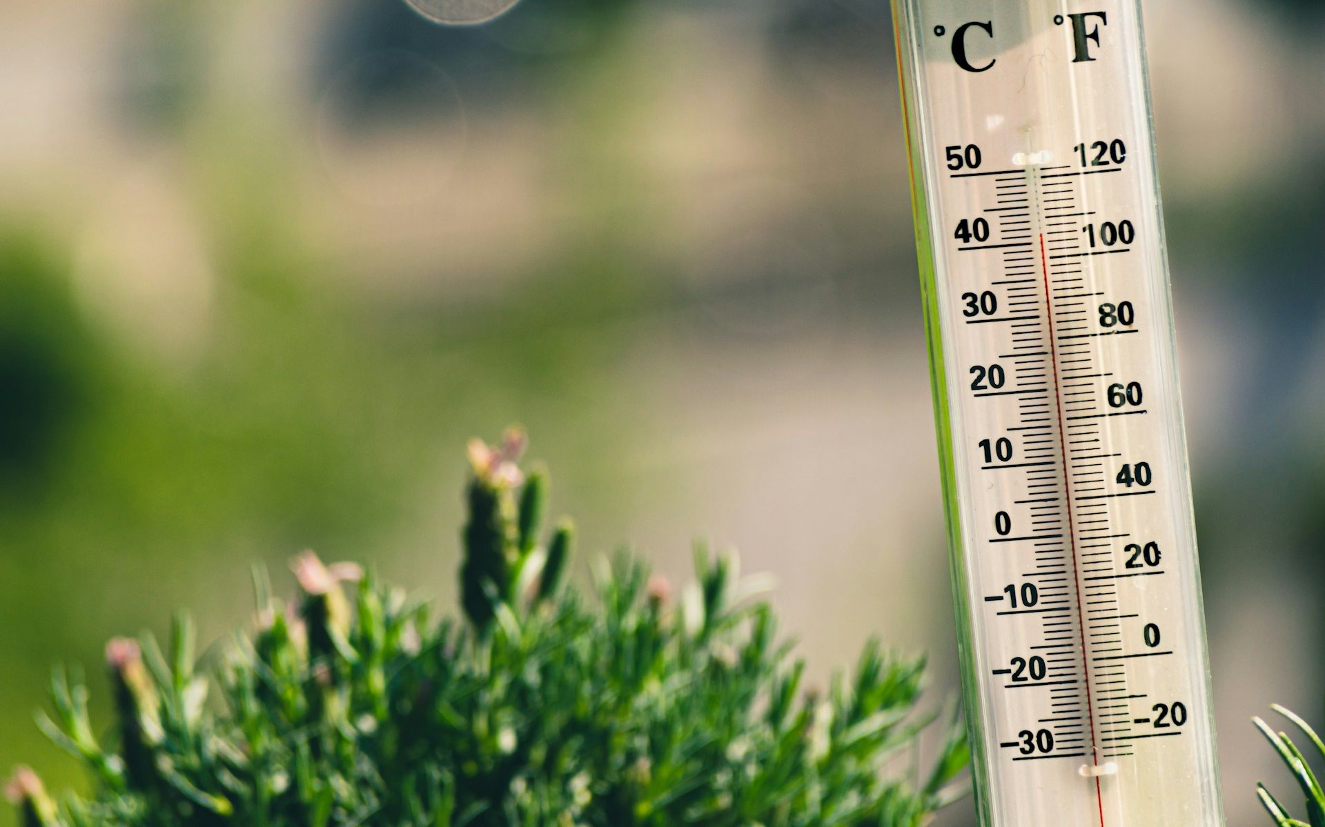 Temperaturas continuam a subir e há novo recorde entre os meses mais quentes