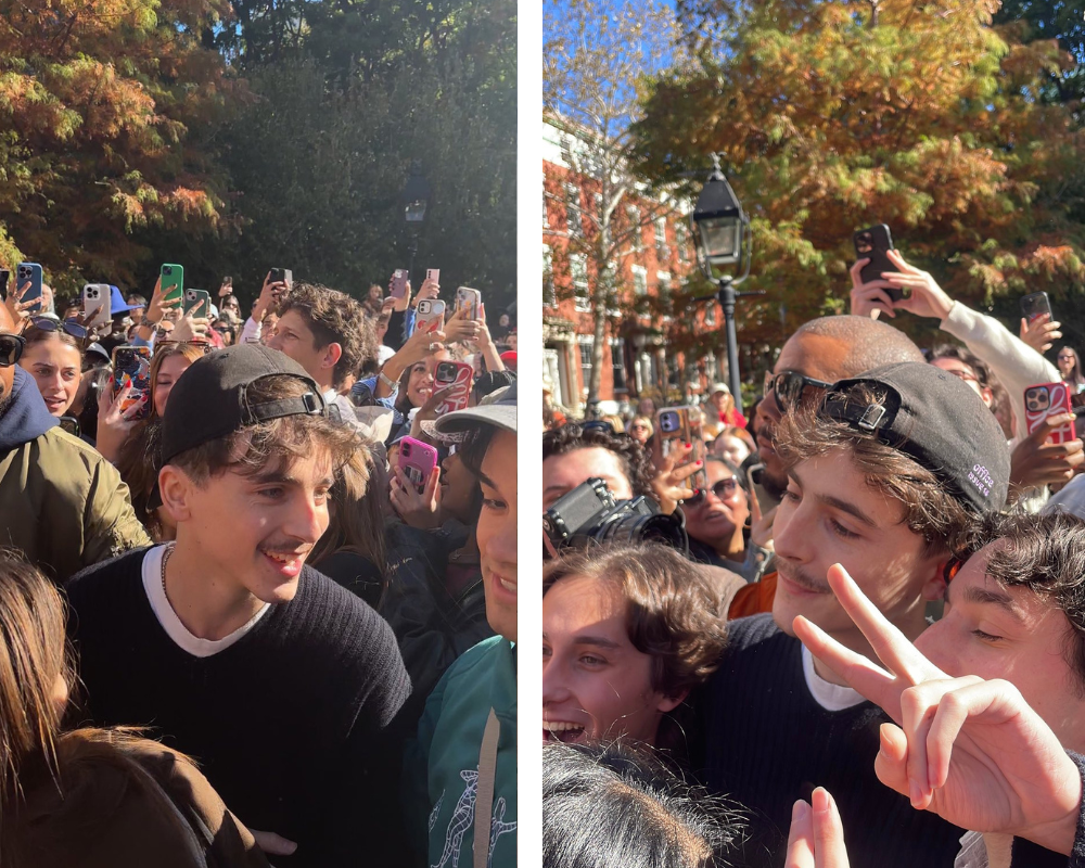 Timothée Chalamet fez aparição surpresa num concurso de sósias e levou os fãs à loucura. Veja os vídeos