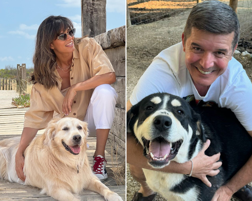 Dia do Cão. Espreite as fotos mais fofas destes 13 famosos com os amigos de 4 patas