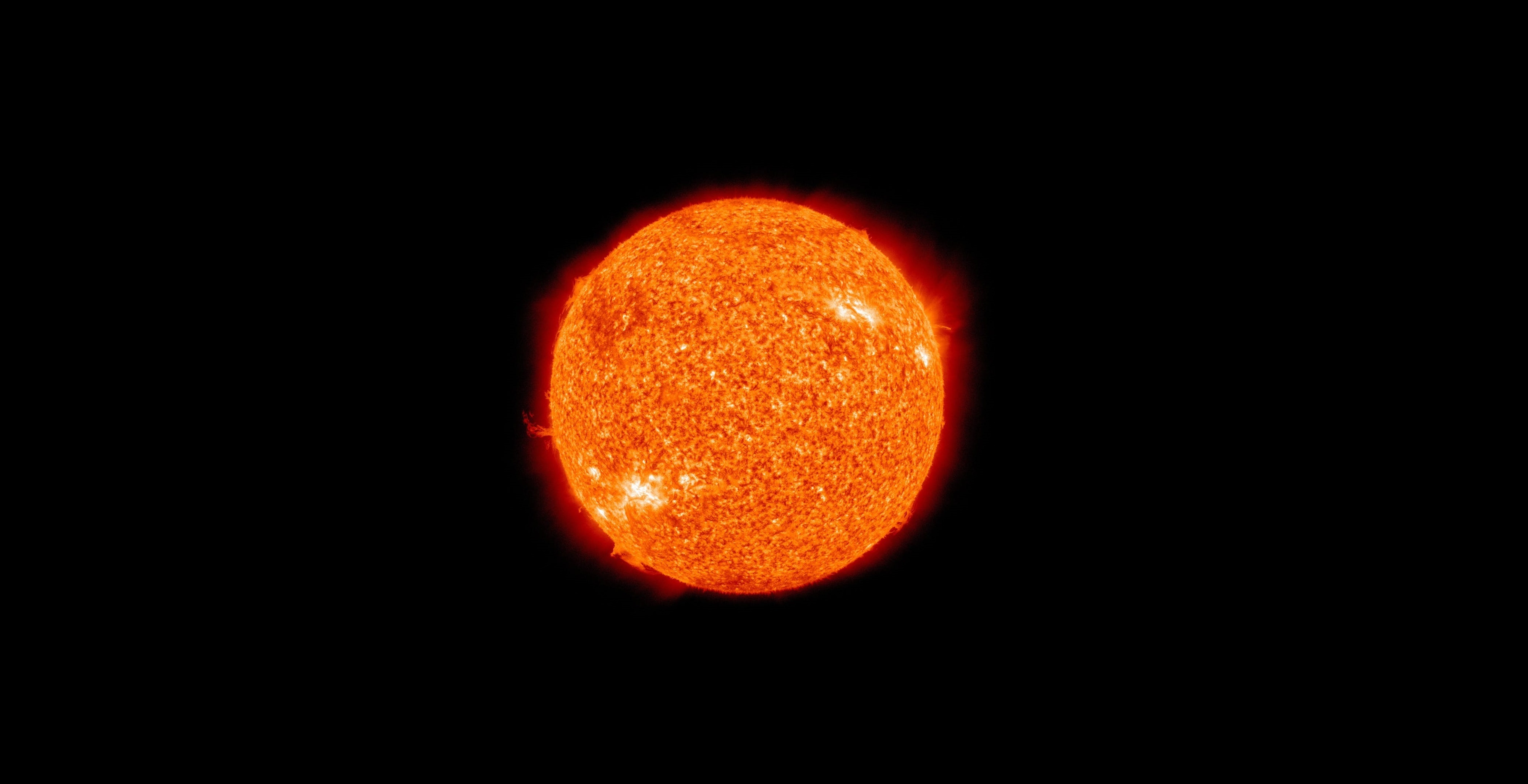 Quer voltar aos treinos e começar a comer bem? A Move Wisely nasceu para o ajudar a mudar de vida