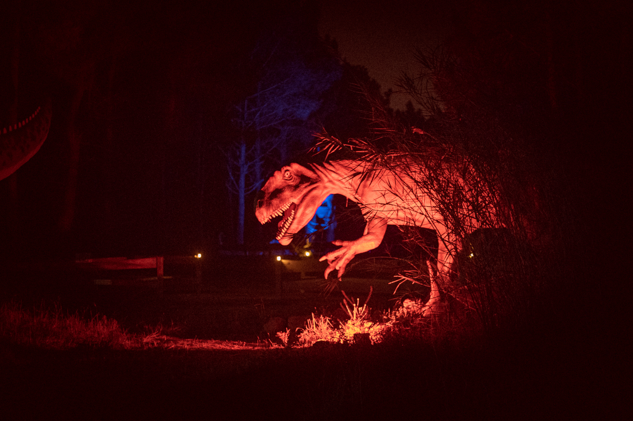 Este popular parque vai abrir durante a noite para que possa voltar ao tempo dos dinossauros