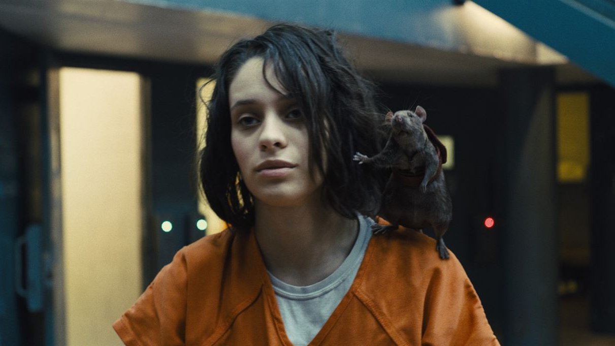 Nova Iorque procura um Ratcatcher da vida real para combater as pragas de ratos. Pagam 170 mil euros