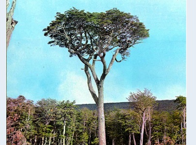 Ranking MAGG. O melhor bagel de Lisboa fica no Saldanha e a massa é de fermentação lenta