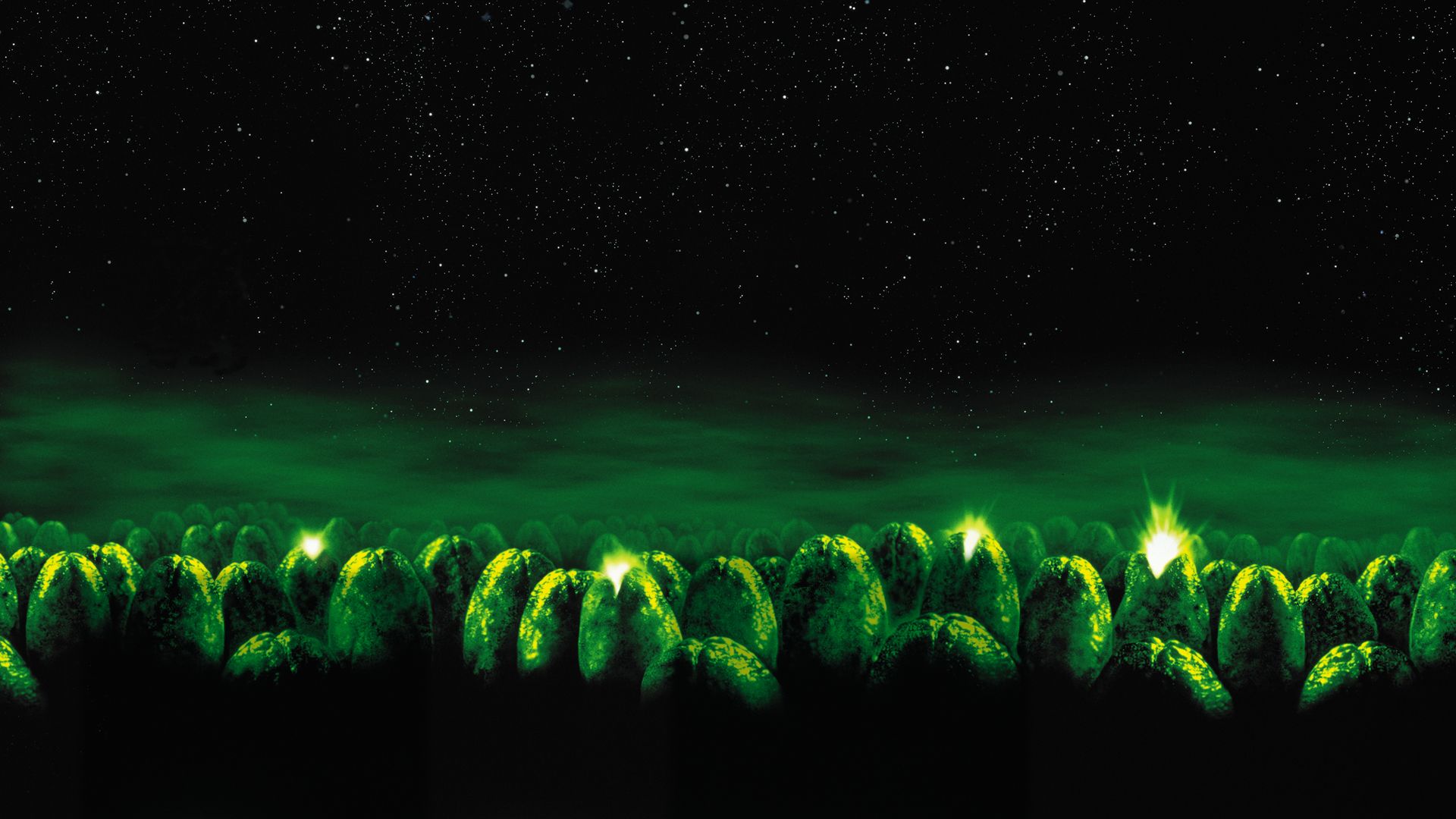 “5 Para a Meia-Noite” muda de apresentador à última hora. A culpa é da COVID