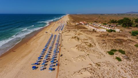 Avistamento de tubarão nas praias do Barril e Terra Estreita, no Algarve, obrigam a içar bandeira vermelha
