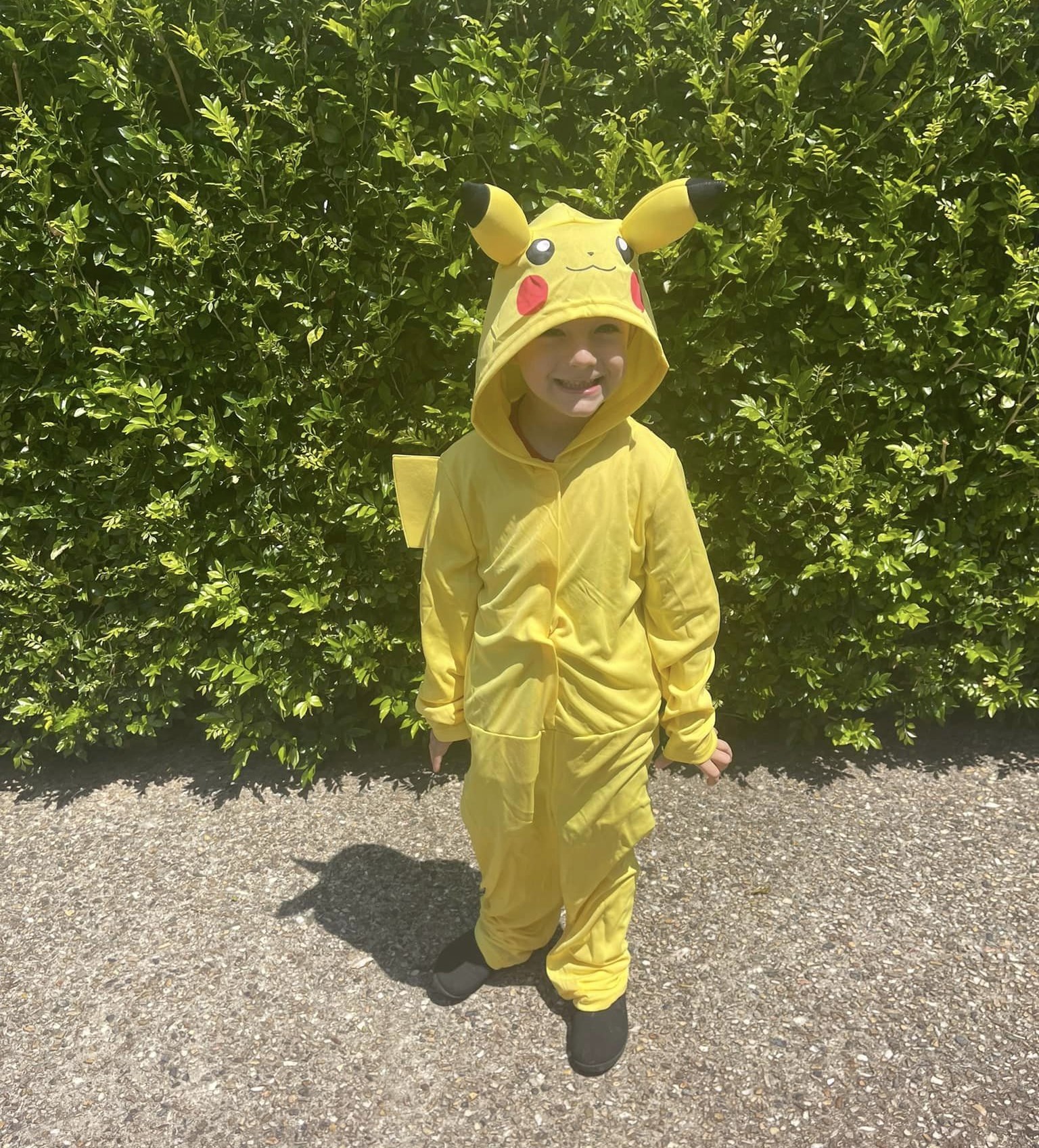 Crianças faltaram à festa de aniversário de colega de 4 anos porque o bolo era vegan