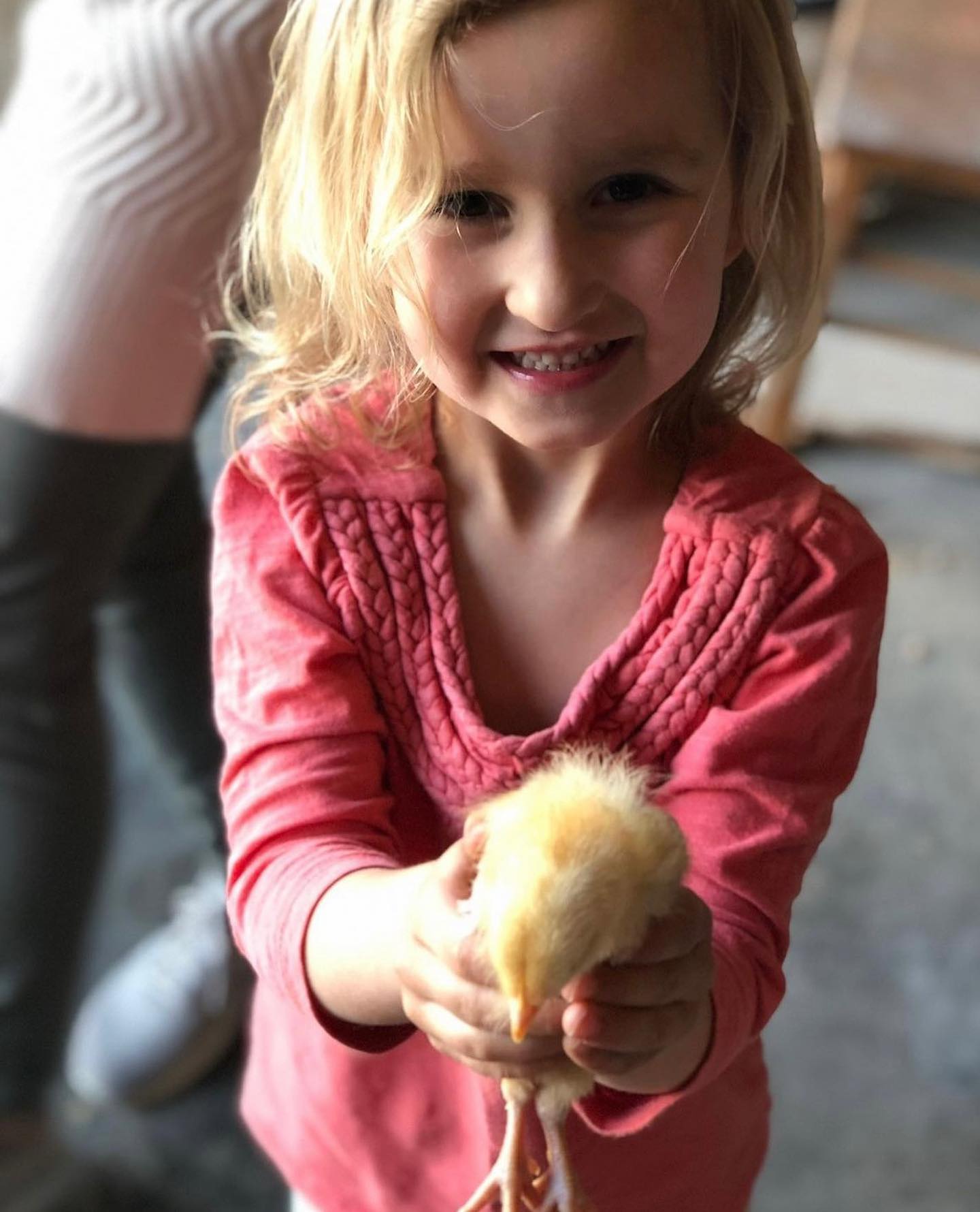 Criança morreu a acionar alarme de incêndio em tiroteio nos EUA. Assassina avisou que “algo mau” ia acontecer