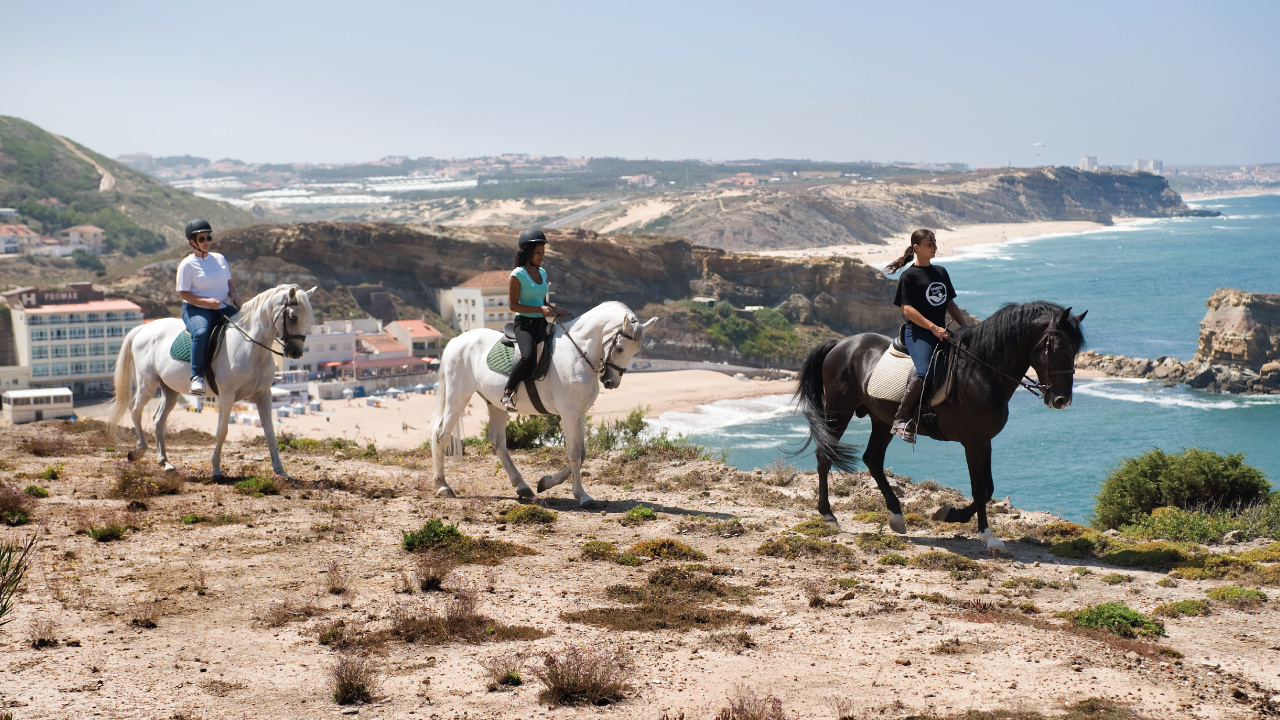 “A Galope no Vimeiro”. O novo programa do Hotel Golf Mar é ideal para os apaixonados pelo mundo equestre