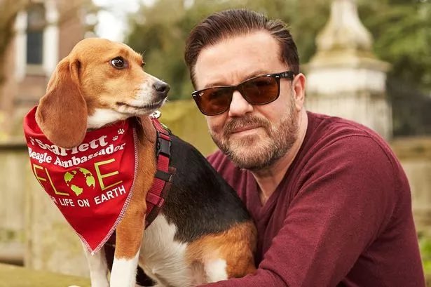 Comediante Ricky Gervais doou quase 3 milhões de euros a associações de defesa dos animais