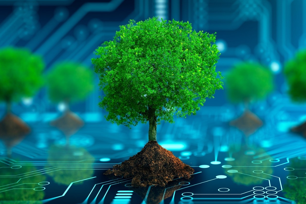 Corrida para a sustentabilidade: Planos e ações a ritmos diferentes nas empresas que querem ser mais verdes