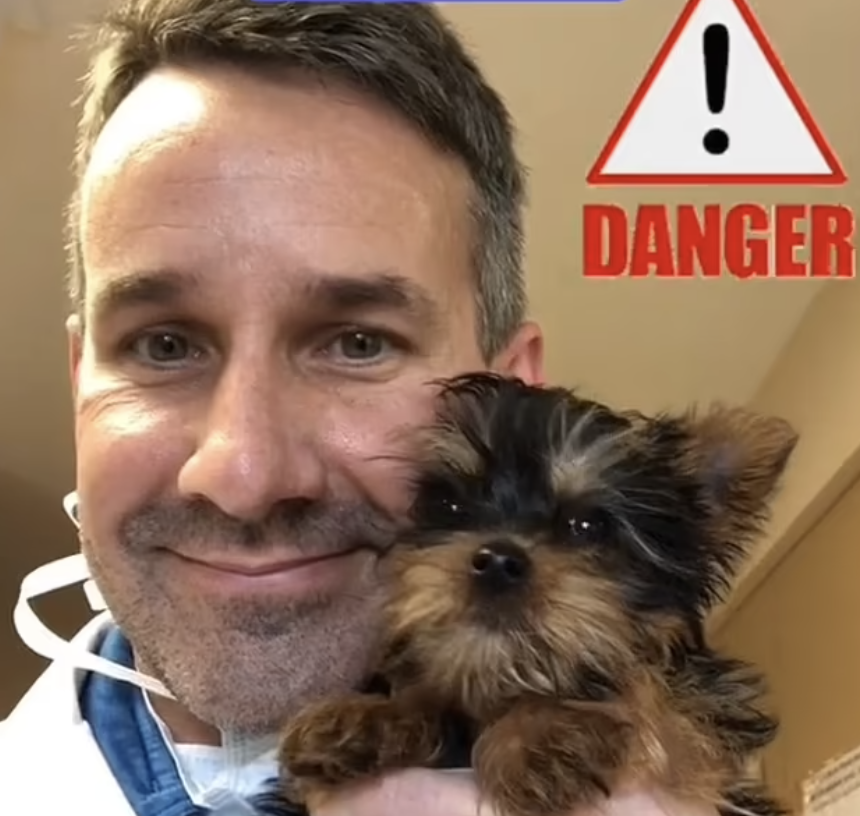 Veterinário alerta para um objeto muito simples que pode matar o seu cão (e costuma tê-lo na mala)