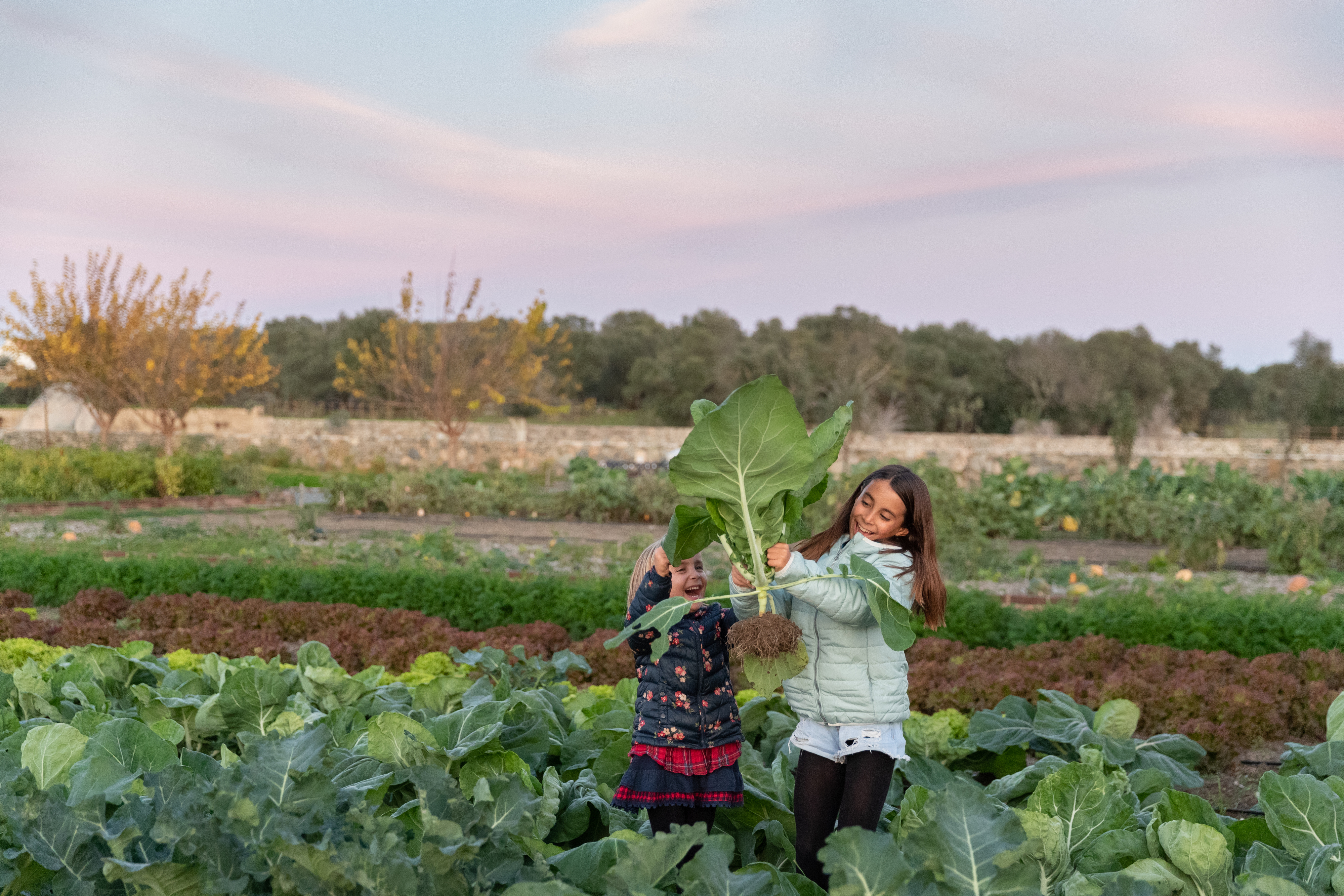Construir um ninho ou plantar uma horta. Há criança que resista a estas atividades no Alentejo?