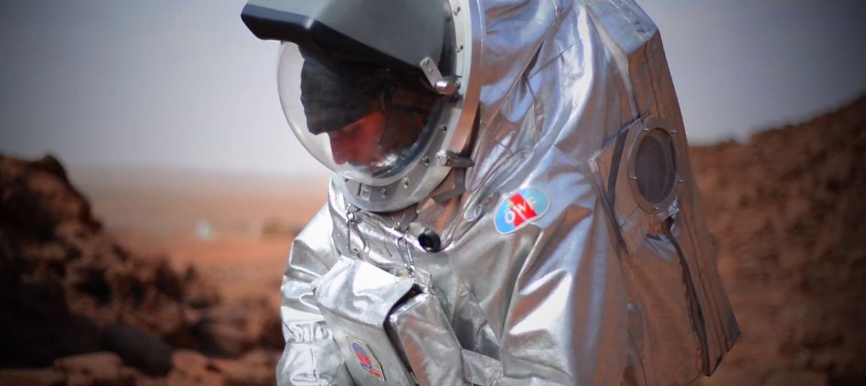 Estes são os maiores cães (e mais fofos) que vai ver hoje