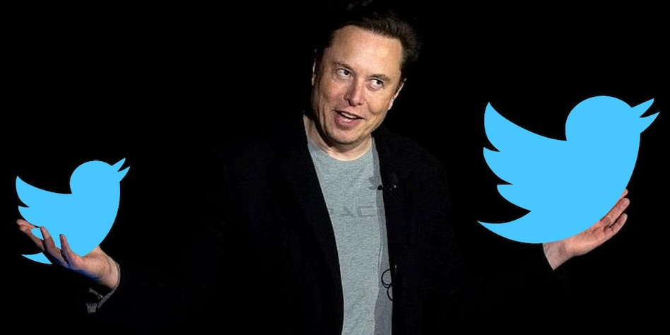 Elon Musk encontrou sucessora na cadeira de CEO do Twitter. Nova líder assume funções em seis semanas