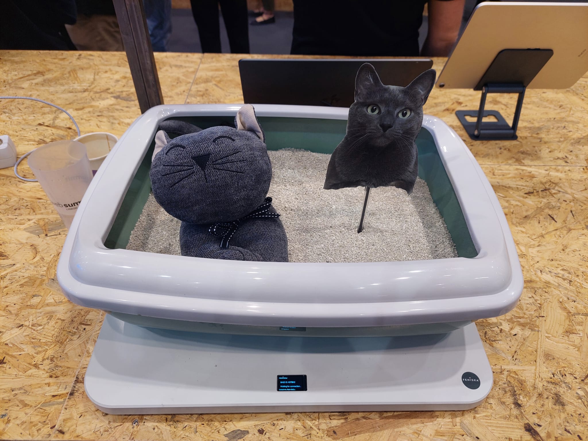 Ideias saídas do Web Summit vão desde caixas de areia inteligentes a horóscopos científicos