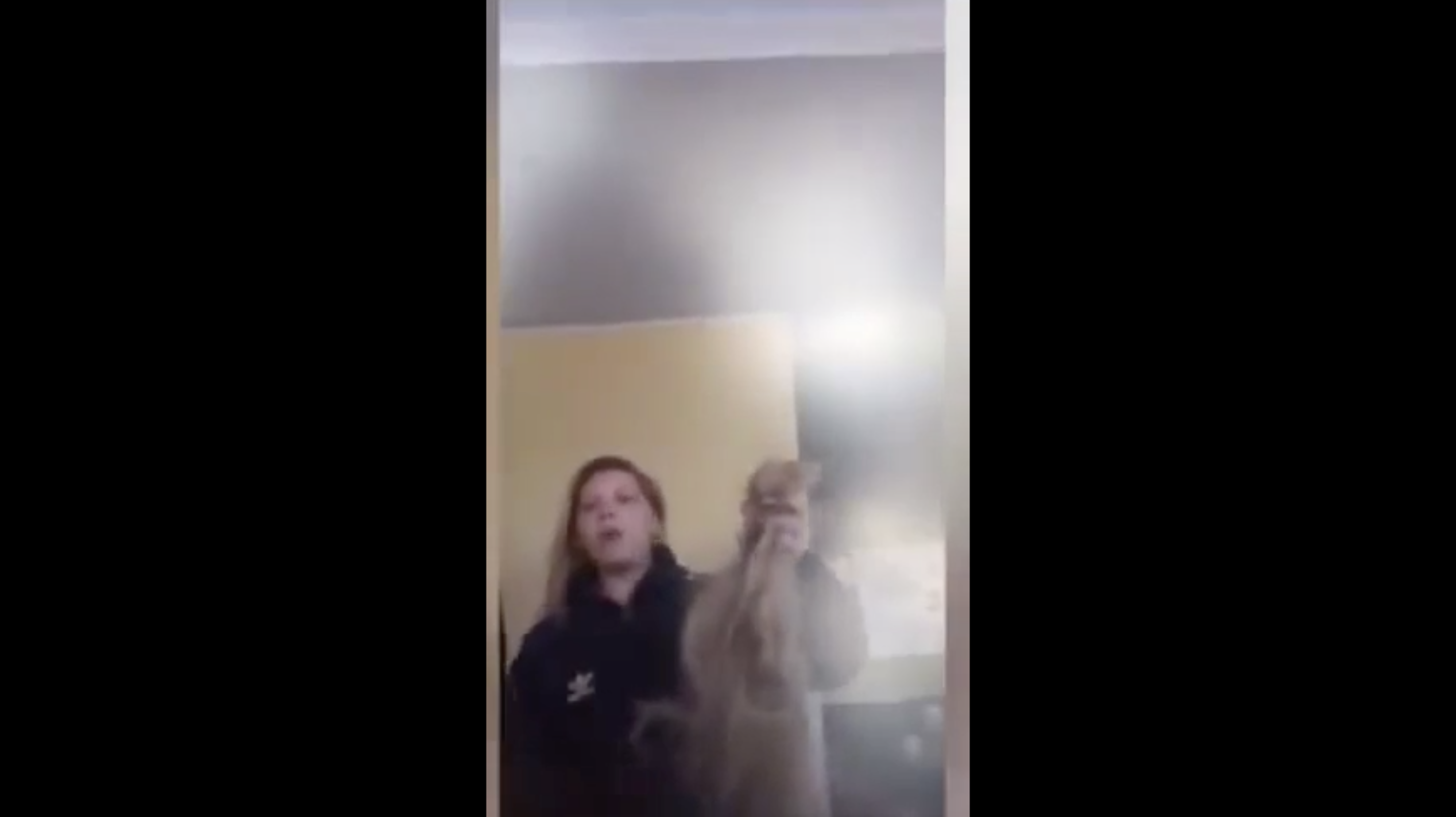 Crime perto do Porto. Duas crianças raptadas de casa da avó — raparam o cabelo à idosa e agrediram-na