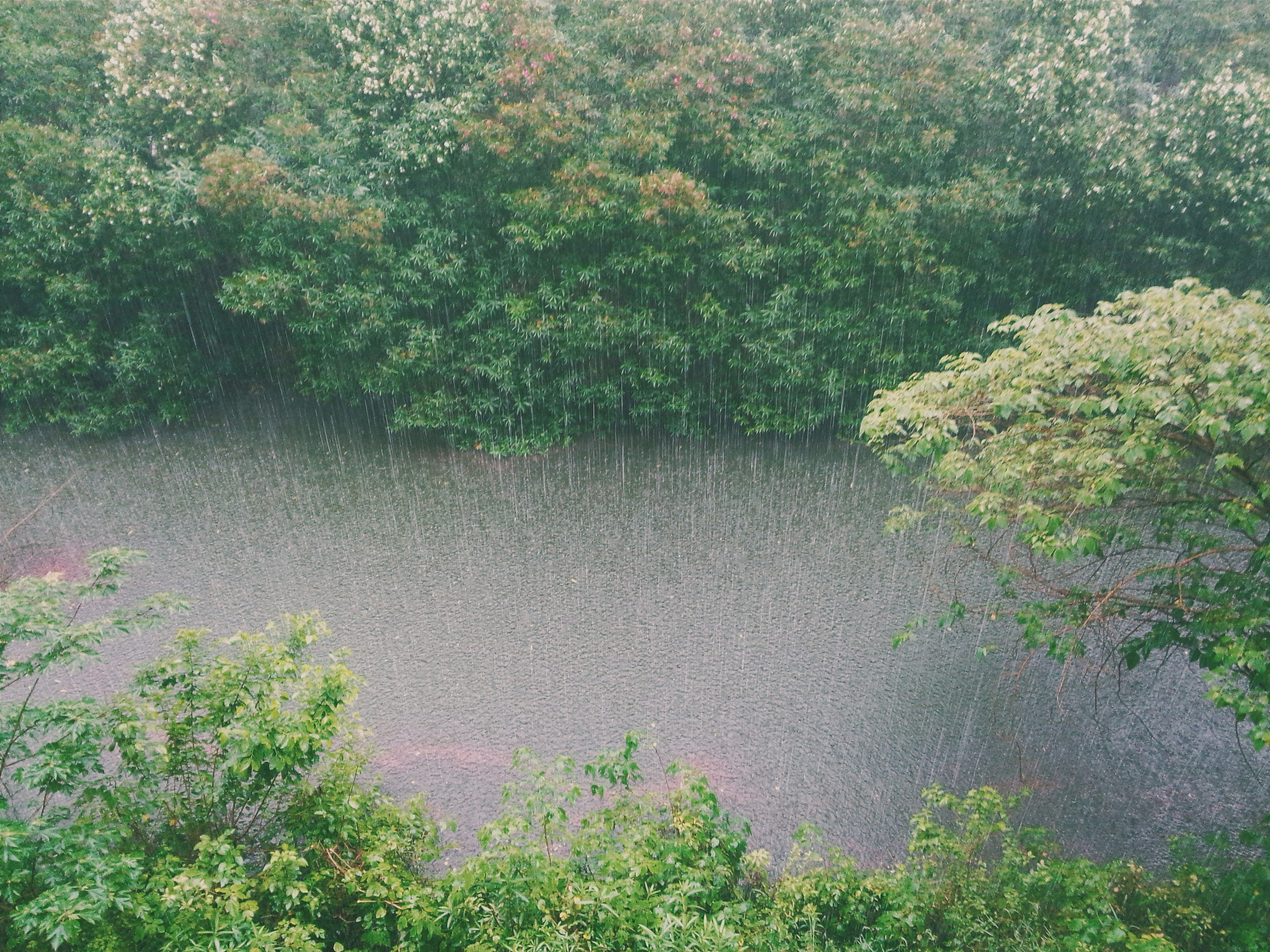 Mais chuva e tempestades. Depressão Leonardo está a chegar e não vai dar tréguas. Saiba quais são as recomendações