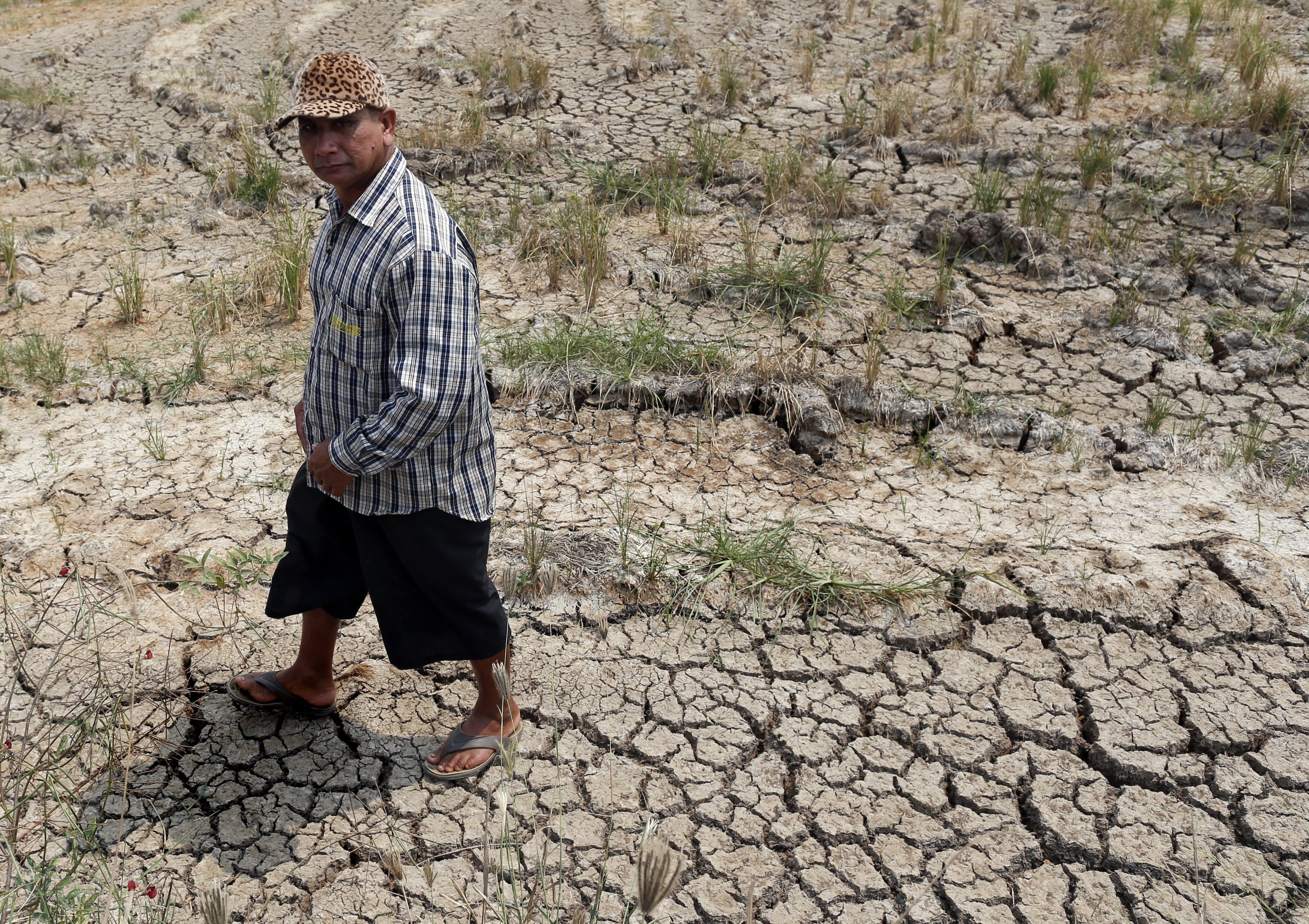 África do Sul declara estado de catástrofe natural em todo o país devido à seca