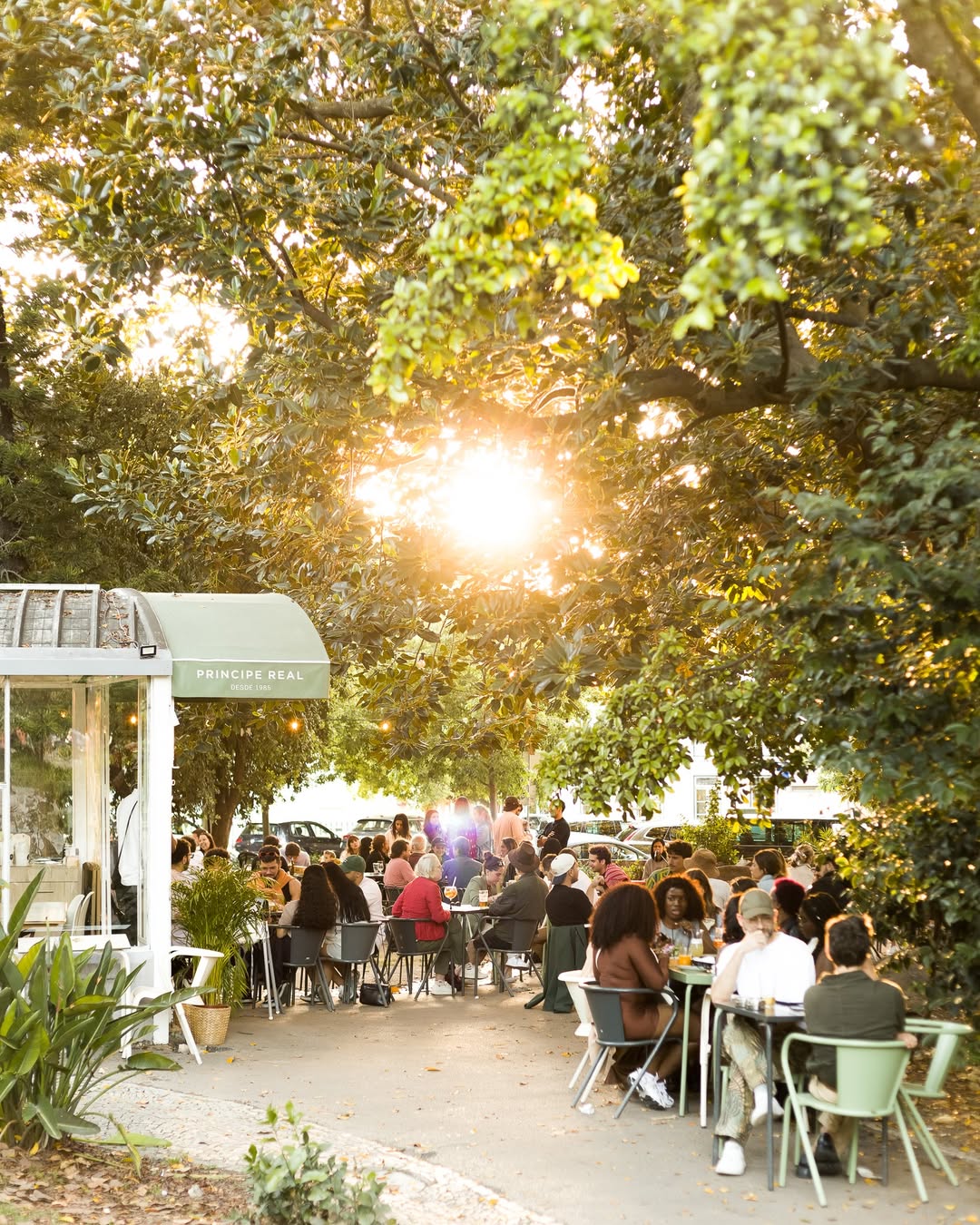 Vai poder comer as pizzas da Lupita na Esplanada Príncipe Real neste evento único. Saiba quando