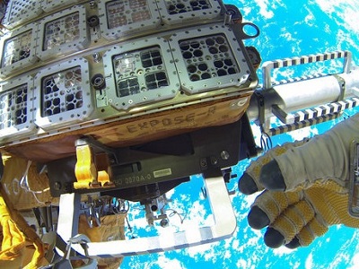 Dieta da maçã, leite, ananás. Porque é uma péssima ideia seguir estes planos alimentares