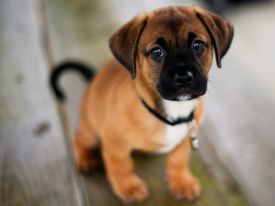 Penúltimo episódio de “A Guerra dos Tronos” tem a pior classificação de sempre