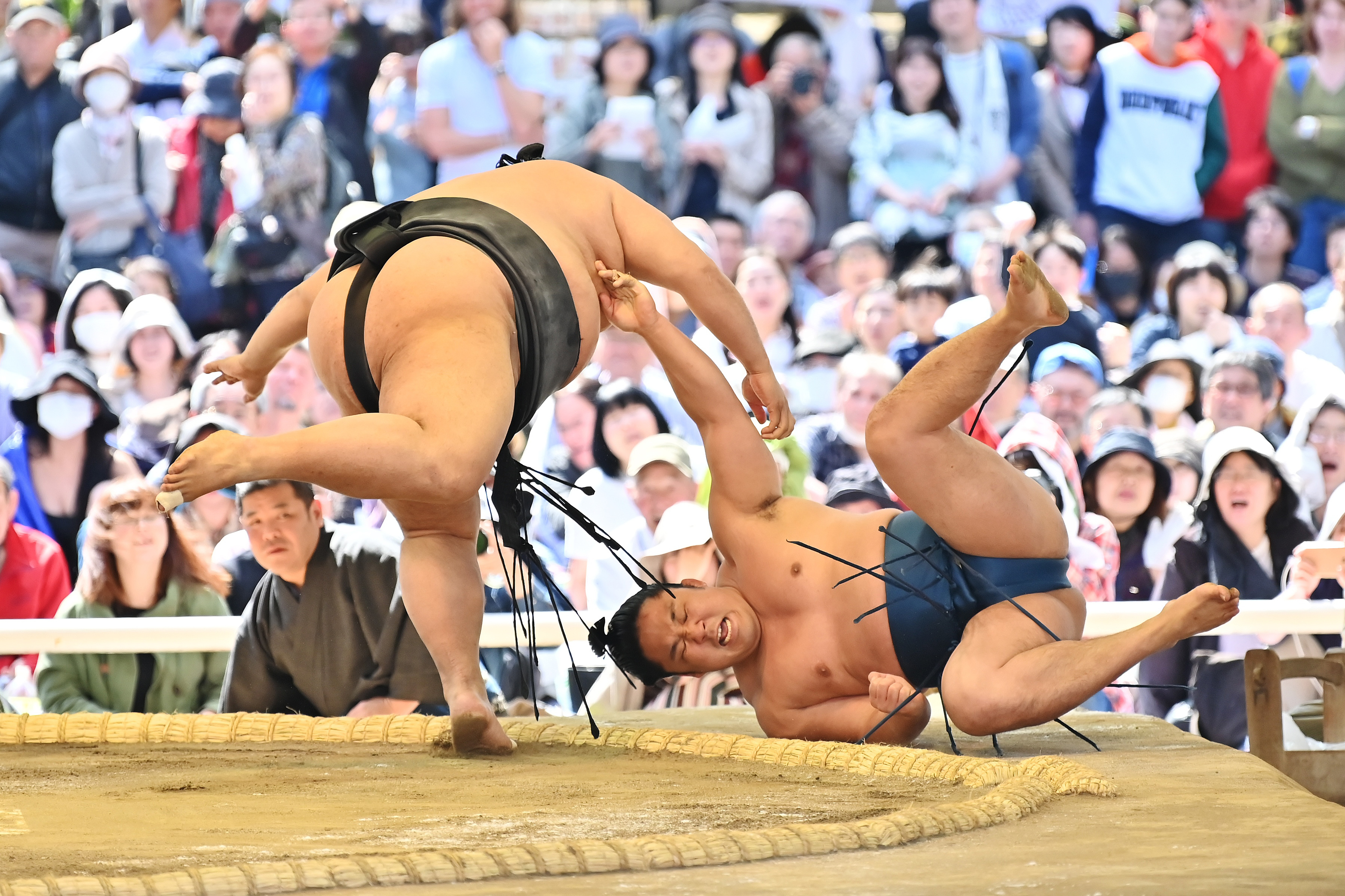 Com a modalidade em crise, o Japão quer ouvir todos os lutadores de sumo.  São 900 - Desporto - SAPO 24