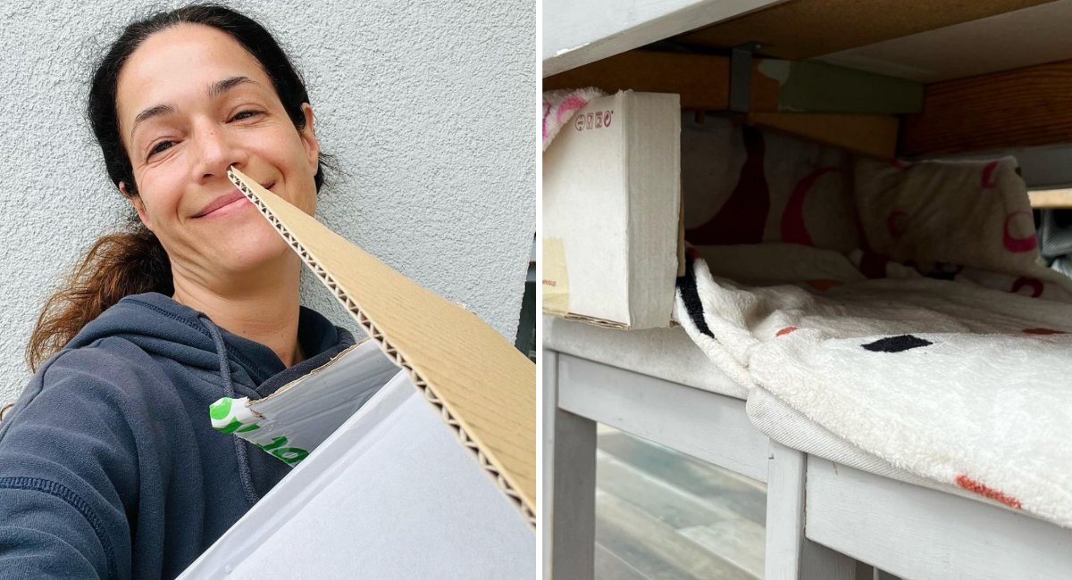 Paula Neves distribui camas para gatos vadios do bairro mas os vizinhos não gostaram e deram-lhe um aviso