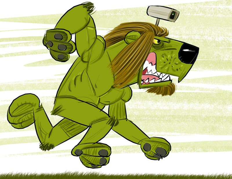 Câmara anti fora de jogo