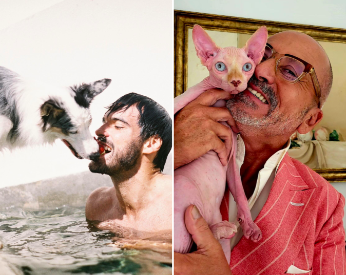 Dia Mundial do Animal. Conheça os amigos de quatro patas dos famosos e veja as fotos amorosas