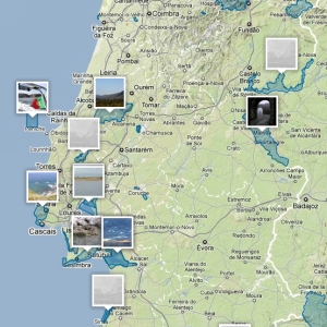 Casal de pinguins gay tiram ovo a outro reprodutor