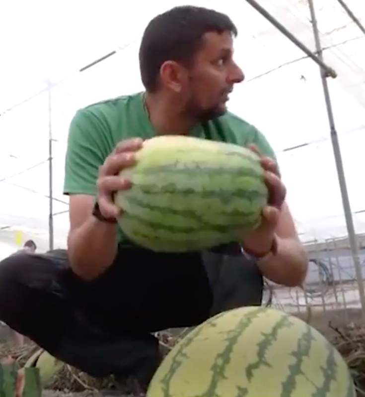 Este agricultor deu 100 quilos de melancias e perdeu 3 meses de trabalho. Saiba porquê
