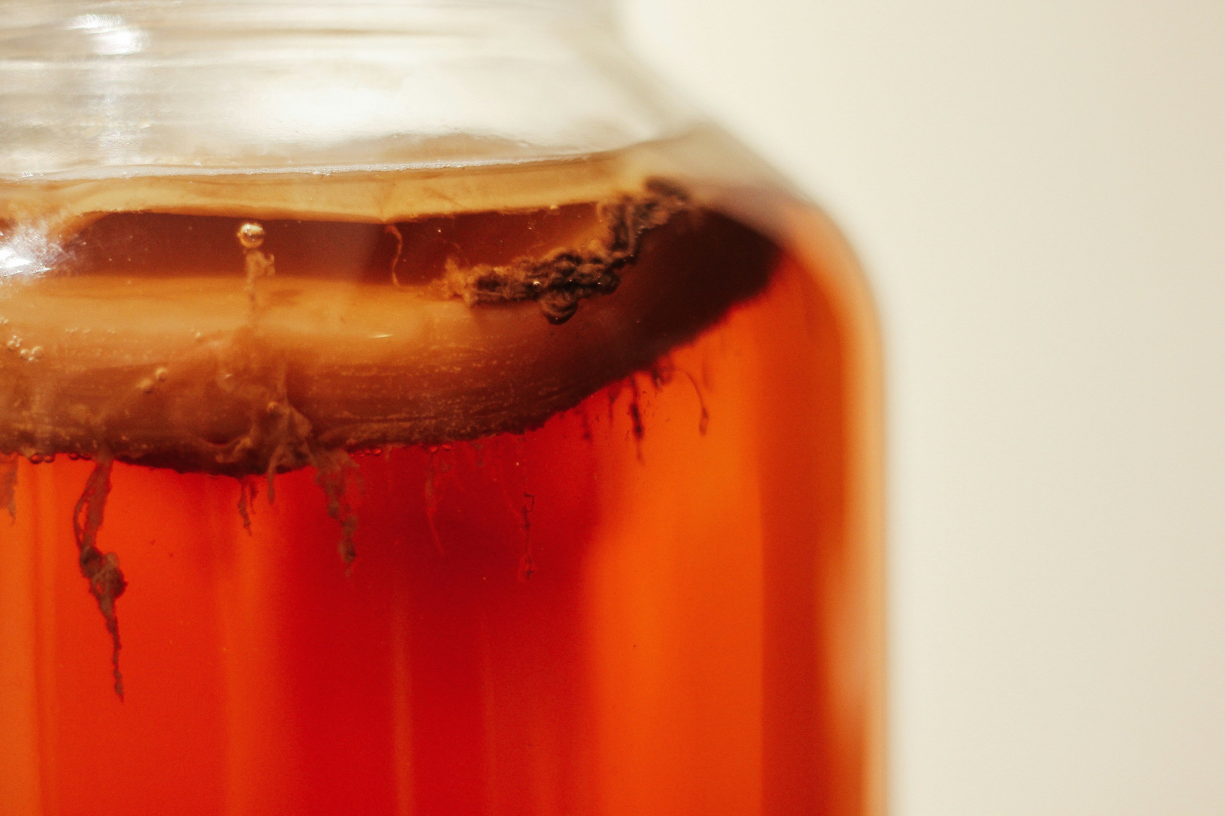 A kombucha tem realmente benefícios para a saúde? Entenda o fenómeno