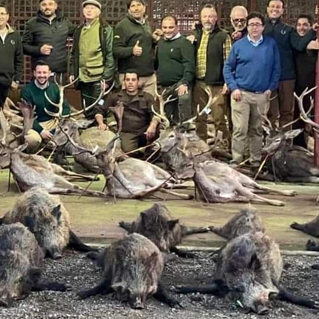 Abate de mais 500 animais em caçada está a chocar Portugal. Autoridades avançam com investigação