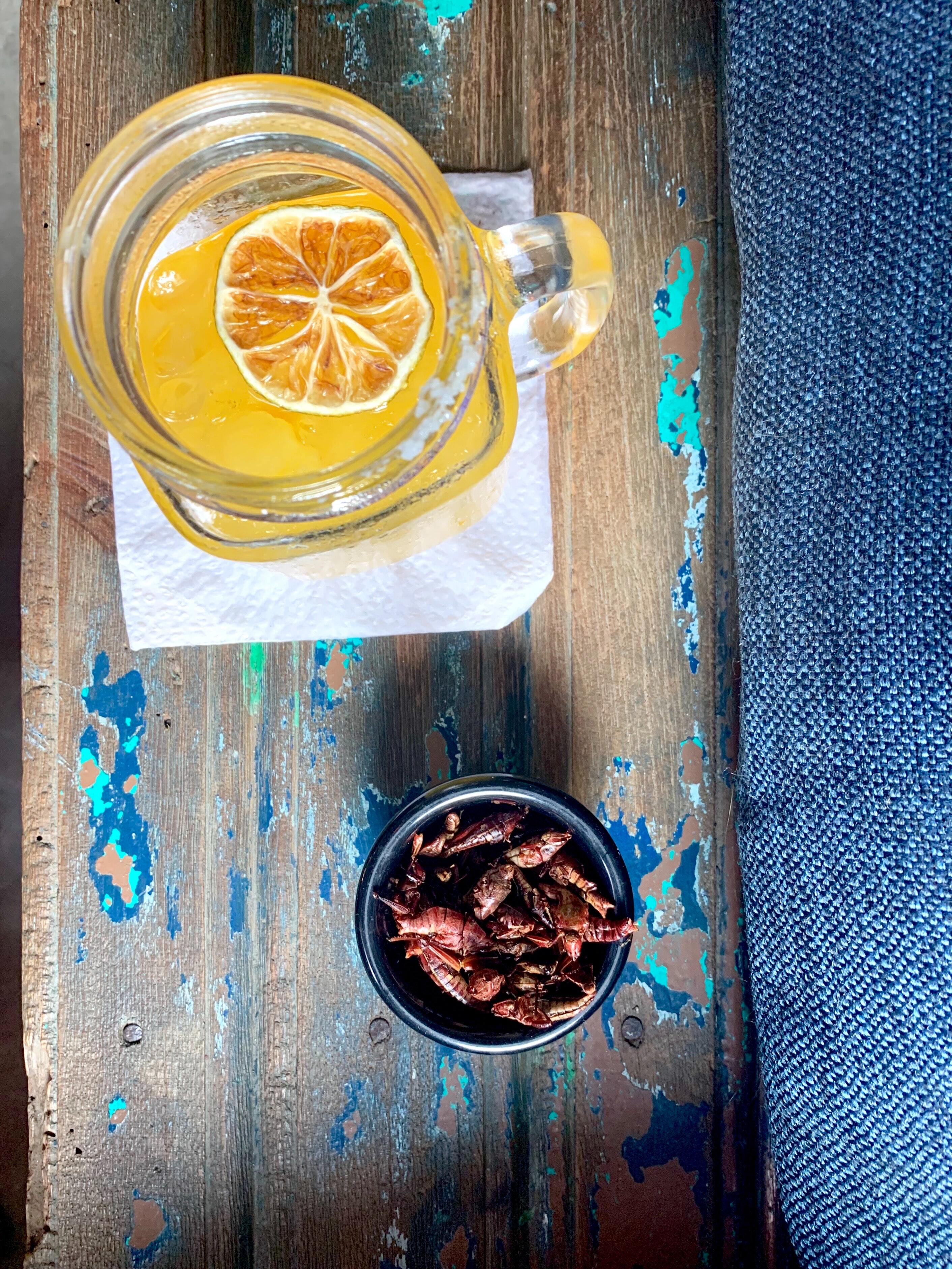 Dos grilos aos gafanhotos, aprovado “menu” com sete espécies que vai poder comer em Portugal