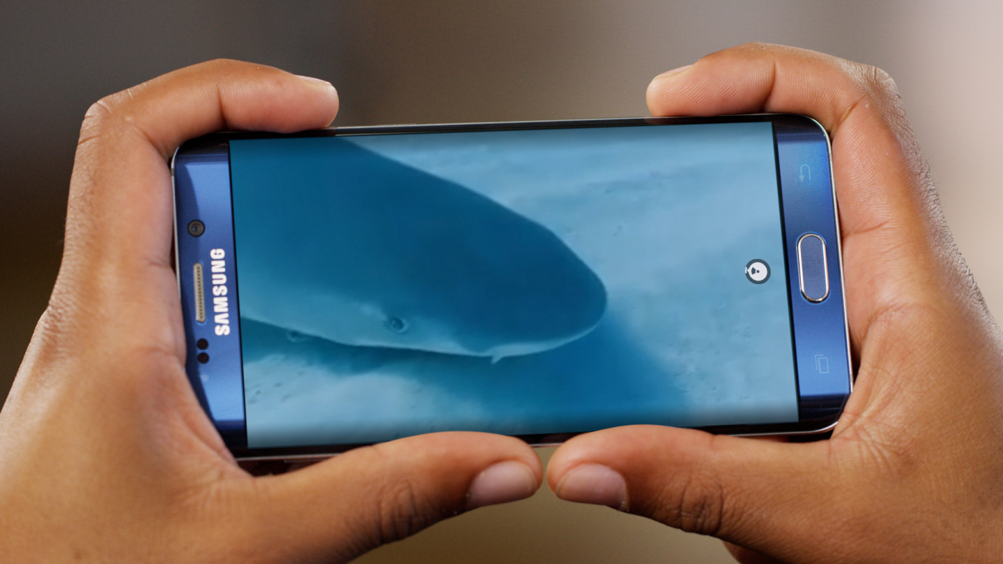 Festa Literária Folha. Há termas e livros na Curia