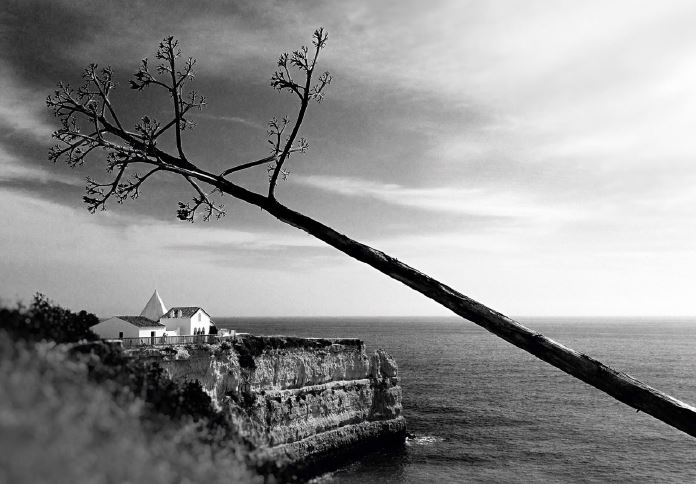 “BB – A Revolução”. Que concorrente acha que vai ser expulso na próxima gala?