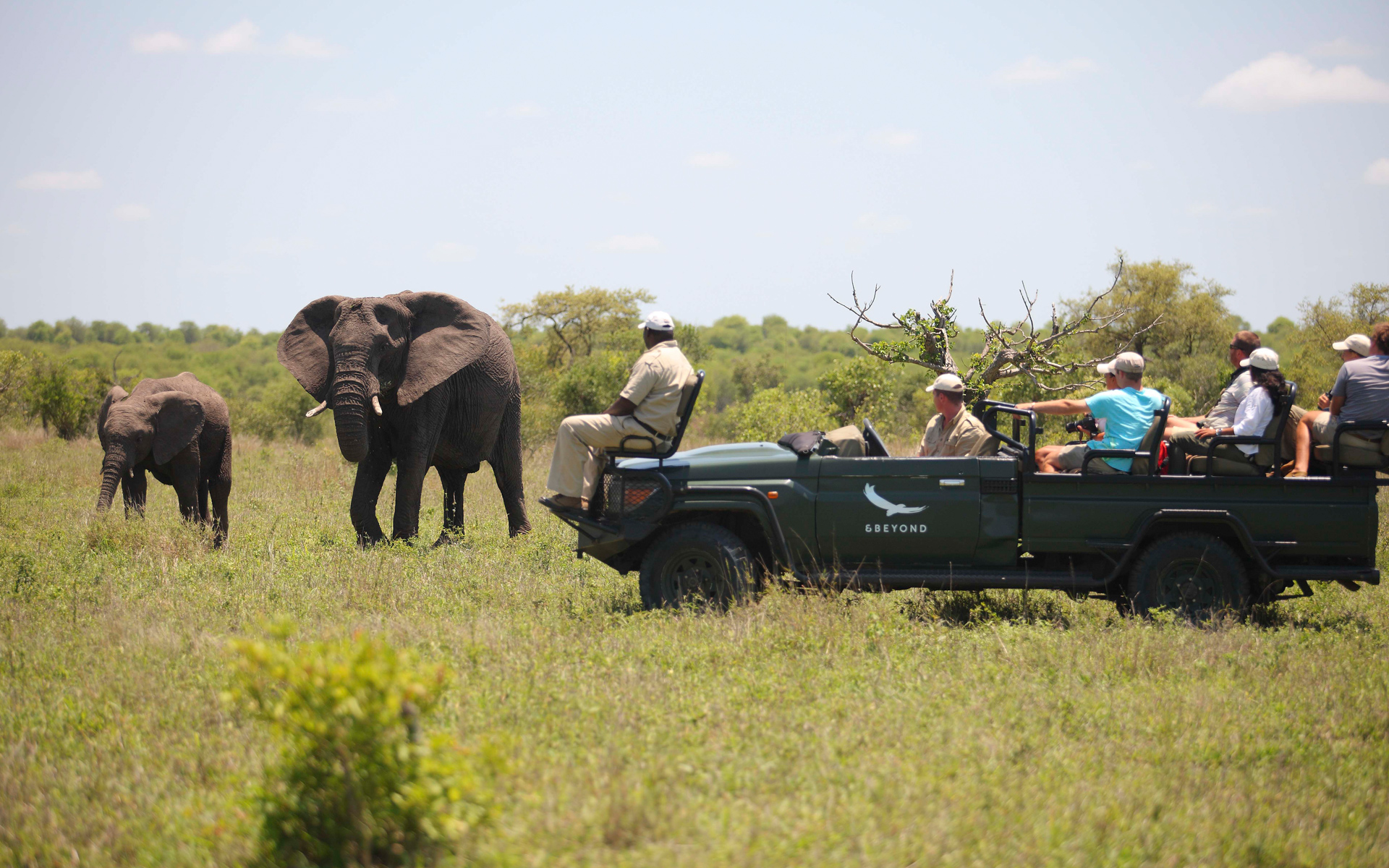 África do Sul. A incrível história de uma reserva que está a salvar vidas (dos animais e das pessoas)