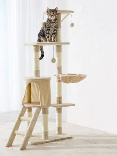 O Lidl tem um oásis para gatos  —  que faz até inveja aos donos