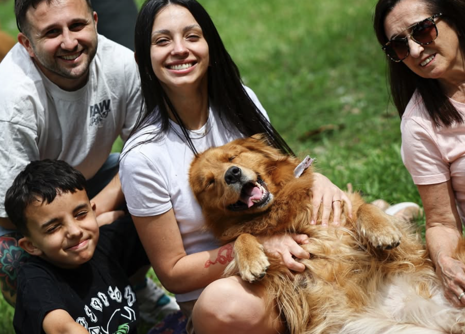 Encontro com quase 2400 Golden Retrievers quebrou recorde mundial. Veja o vídeo (alerta, fofura)