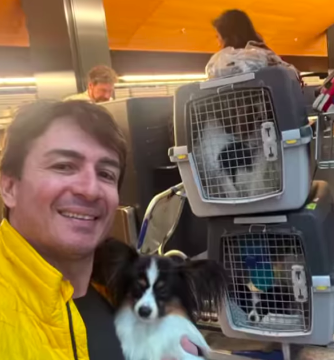 O desespero de João Costa quando soube que os seus 4 cães desapareceram numa escala. Veja o vídeo