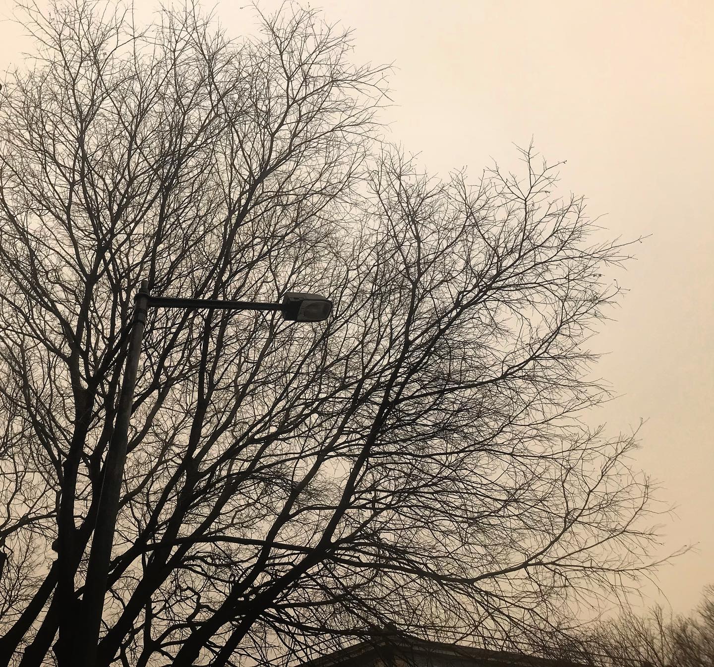 Poeiras do norte de África voltam e termómetros podem chegar aos 34ºC