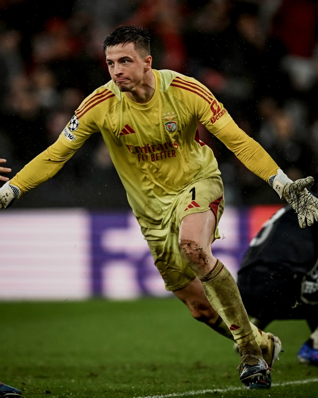 Herói improvável conquista lugar para o Benfica na Liga dos Campeões. Veja 16 fotos de Anatoliy Trubin