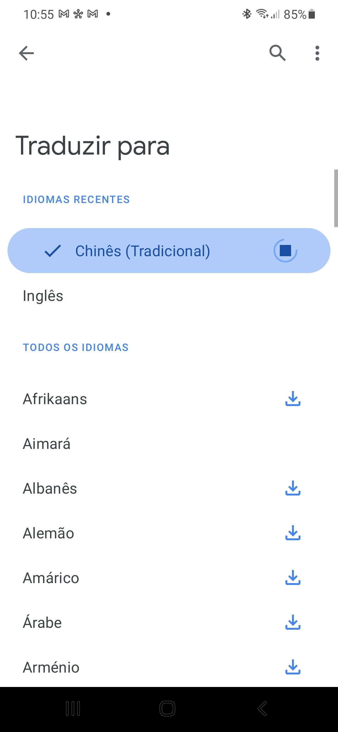 How To TeK: Como tirar partido do Tradutor do Google quando não há  internet? - How To Tek - SAPO Tek