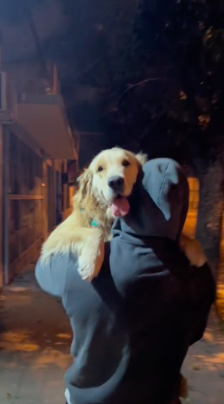 Foi passear a cadela e encontrou o ex que não via há ano e meio. A reação do animal é incrível (vídeo)