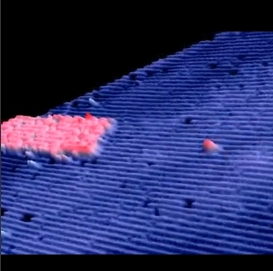 A Força chegou à Madeira. Série da saga “Star Wars” está a ser gravada na ilha