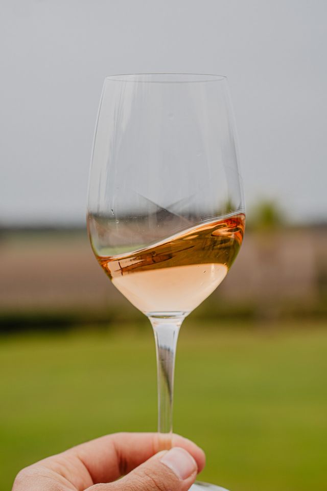 Adega Mayor celebra o verão com pack especial que junta vinhos, azeite e experiências. Quanto custa?