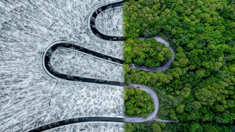 Há cada vez mais pessoas a jogar para os outros verem. E para muitos é (como) um trabalho