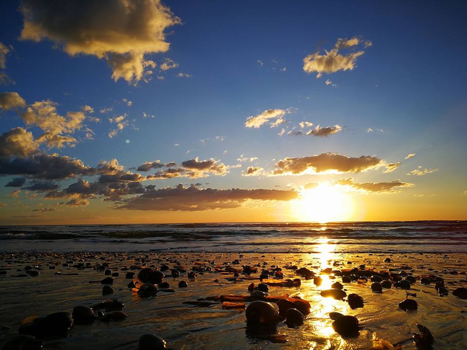 Para o melhor pai, os 30 melhores vinhos portugueses