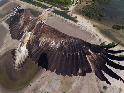 Felipa Garnel: “Na Uber é duro e não se ganha bem”