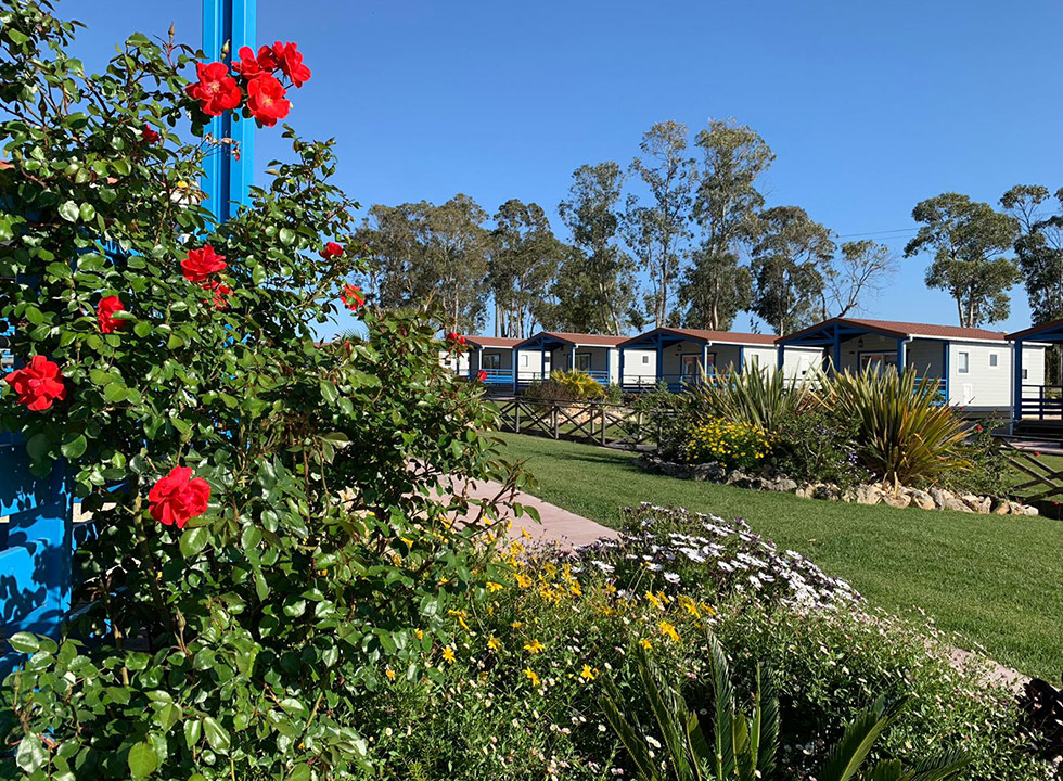 5 parques de campismo no litoral do país onde não é preciso dormir numa tenda